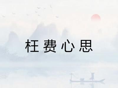 枉费心思