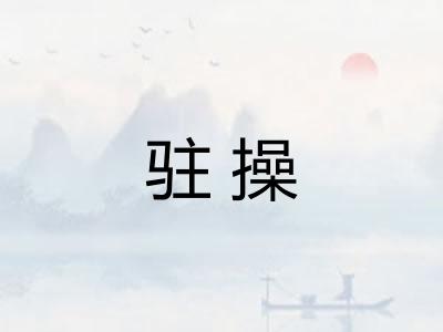 驻操