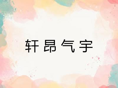 轩昂气宇