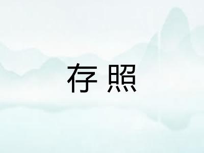 存照