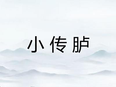 小传胪