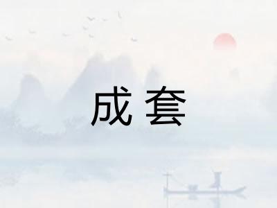 成套