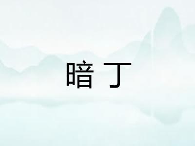 暗丁