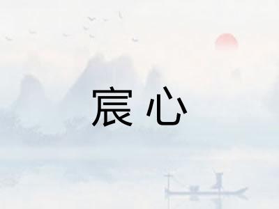 宸心