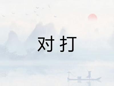 对打