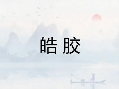 皓胶