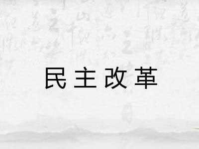 民主改革