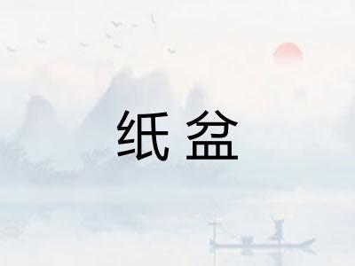 纸盆