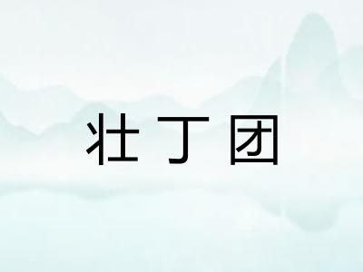 壮丁团