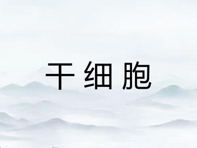 干细胞