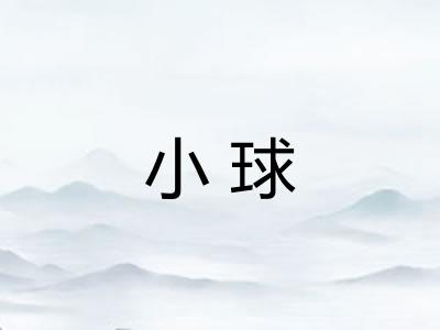 小球