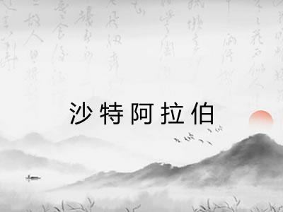 沙特阿拉伯