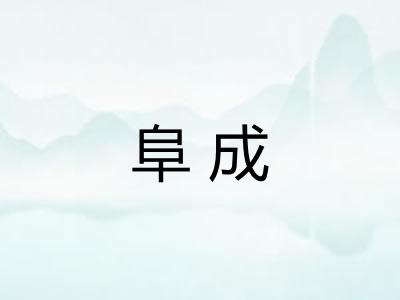 阜成