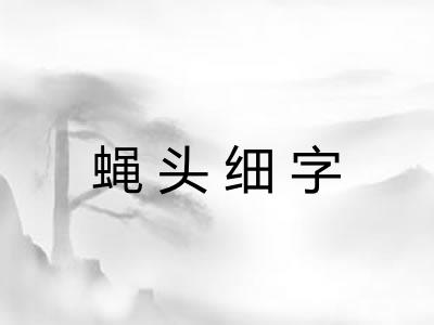 蝇头细字