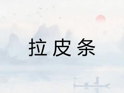 拉皮条