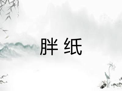 胖纸