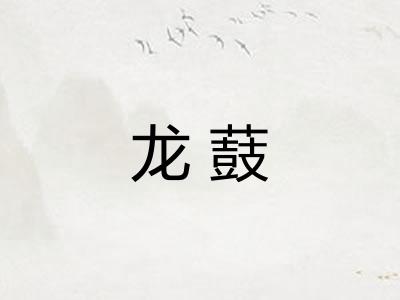 龙薣