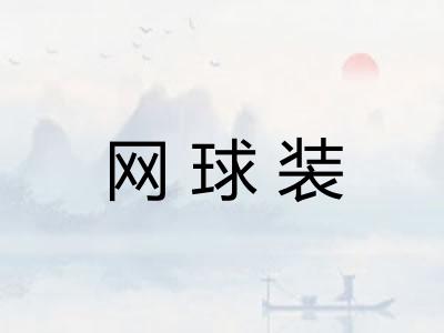 网球装