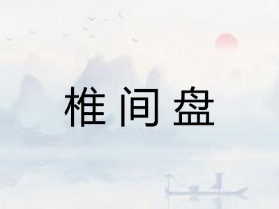 椎间盘