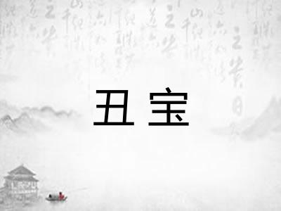 丑宝