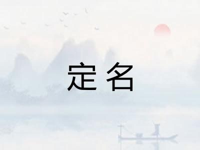 定名