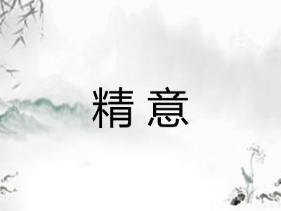 精意