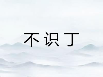 不识丁