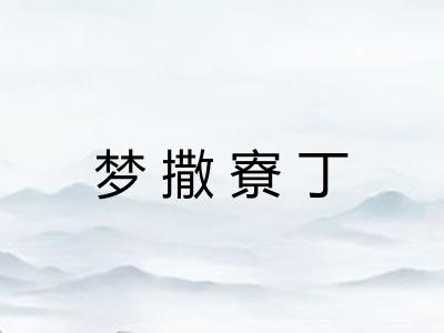 梦撒寮丁