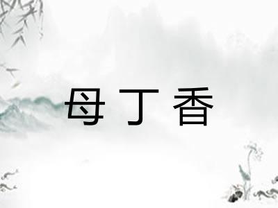 母丁香