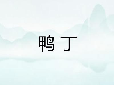 鸭丁