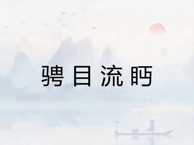 骋目流眄