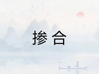 掺合