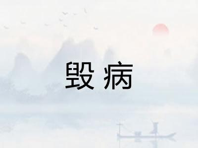 毁病