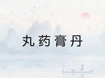 丸药膏丹