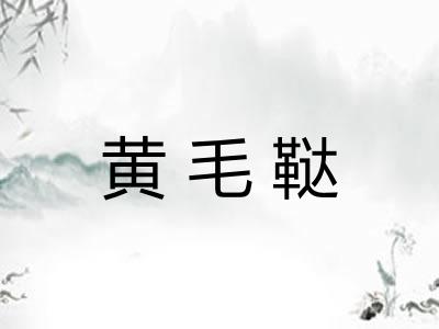 黄毛鞑