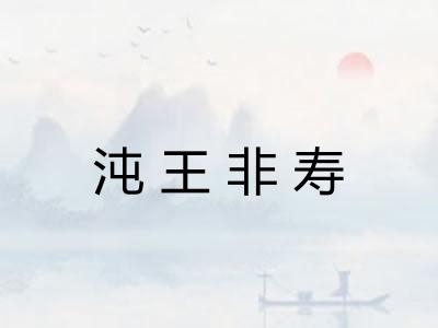 沌王非寿