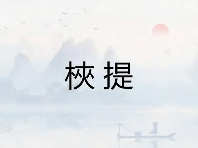 梜提