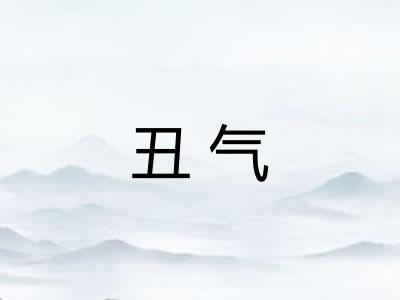 丑气