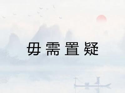 毋需置疑