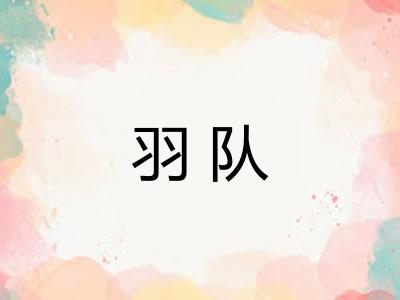 羽队