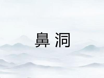 鼻洞