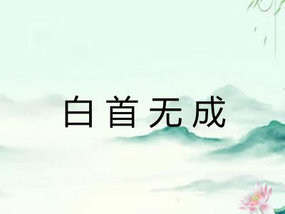 白首无成