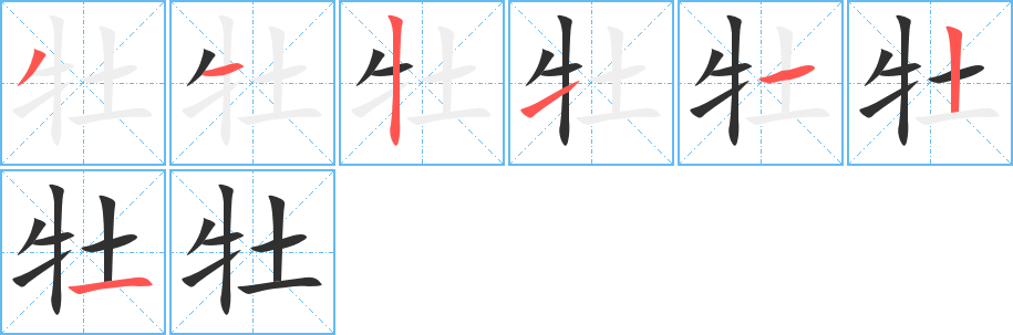 牡的笔顺分步演示图