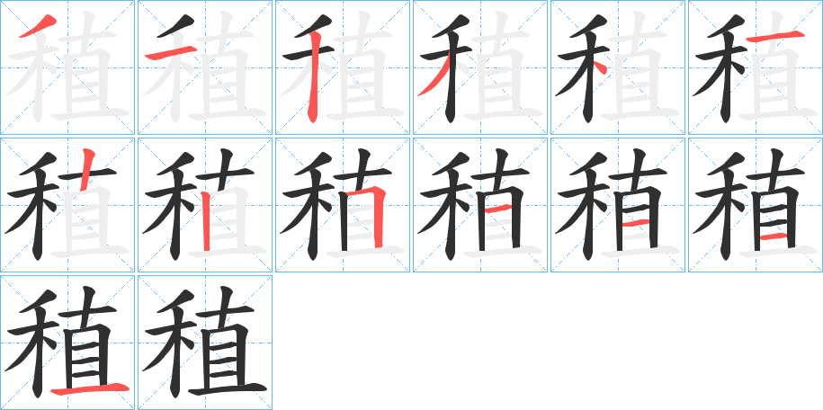 稙的笔顺分步演示图