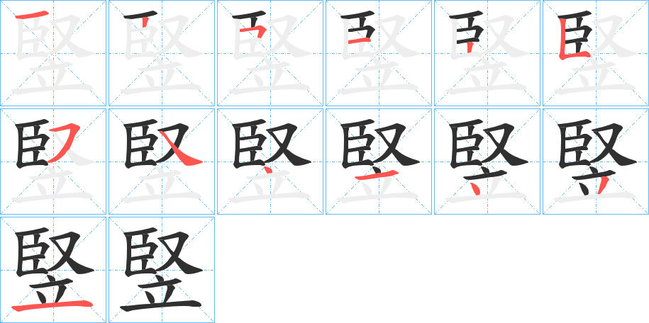 竪的笔顺分步演示图