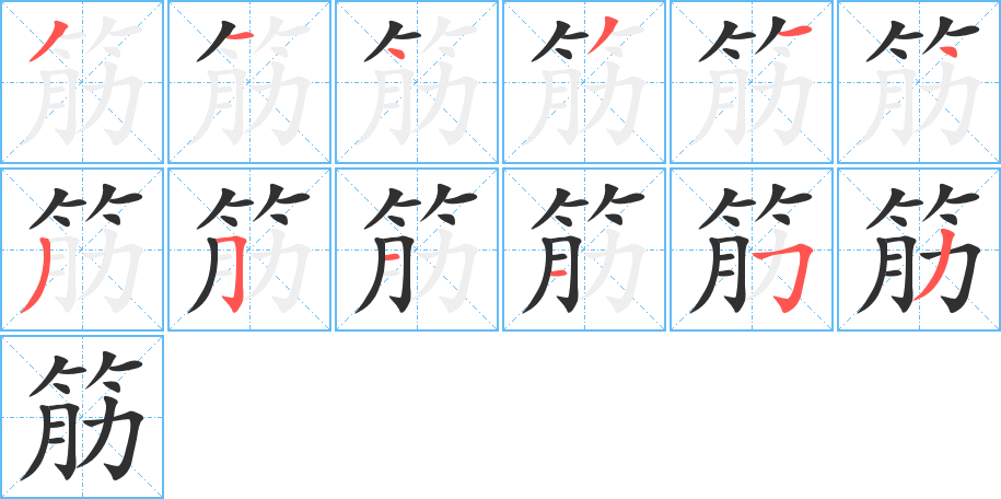 筋的笔顺分步演示图