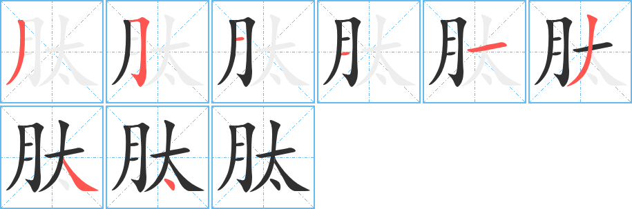 肽的笔顺分步演示图