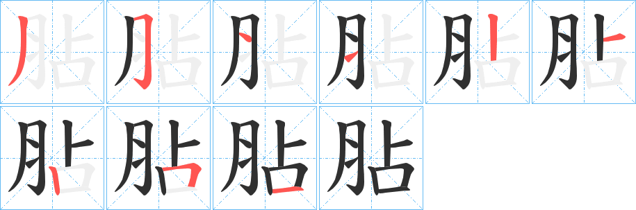 胋的笔顺分步演示图