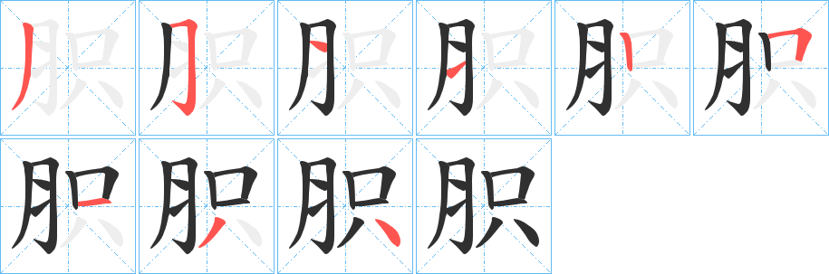 胑的笔顺分步演示图