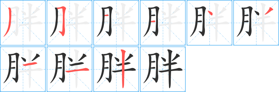 胖的笔顺分步演示图